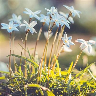 博鱼(boyu)·体育手机app下载