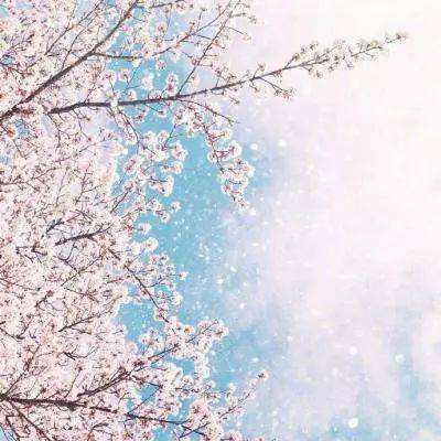 澳门太阳游戏网站