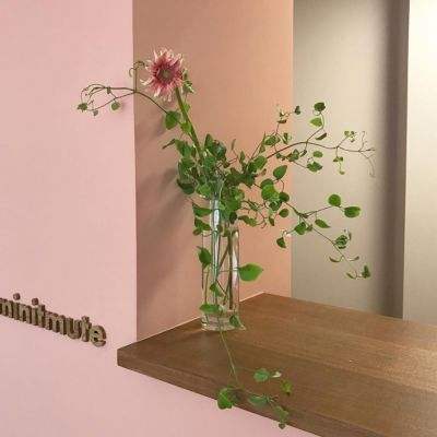 火狐官方网站手机app下载