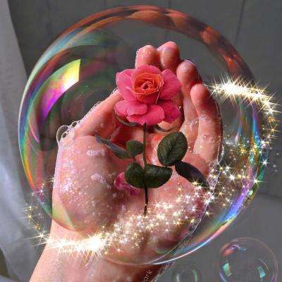 金星棋牌手机app下载