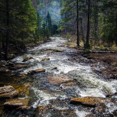 开云·kaiyun体育下载手机版